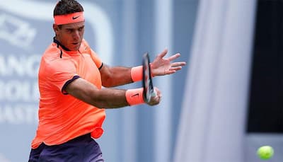 Stockholm Open: Juan Martin del Potro wins first ATP title in three years