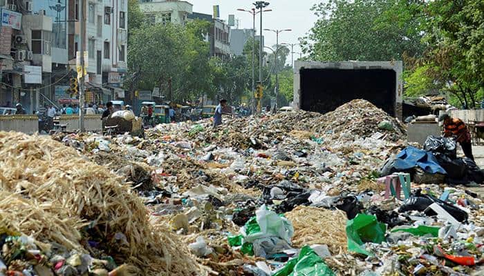 &#039;Roadside trash in India 1,000 times more toxic to nearby humans than ambient air&#039;