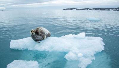 Warming atmosphere reason behind Arctic sea ice vanishing parapet