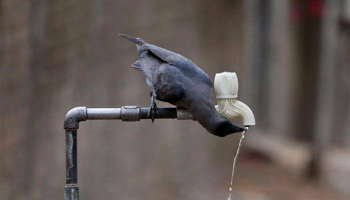 Kerala declares itself as drought-hit state