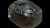 NASA's Curiosity captures strange rock on Mars surface; scientists confirm it's an iron meteorite! - See pic