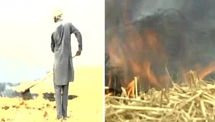 Crop burning by neighbouring states main contributor to Delhi's air pollution: AAP's Satyendra Jain