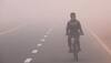 Delhi air pollution level alarming, says foreign media as smog chokes capital