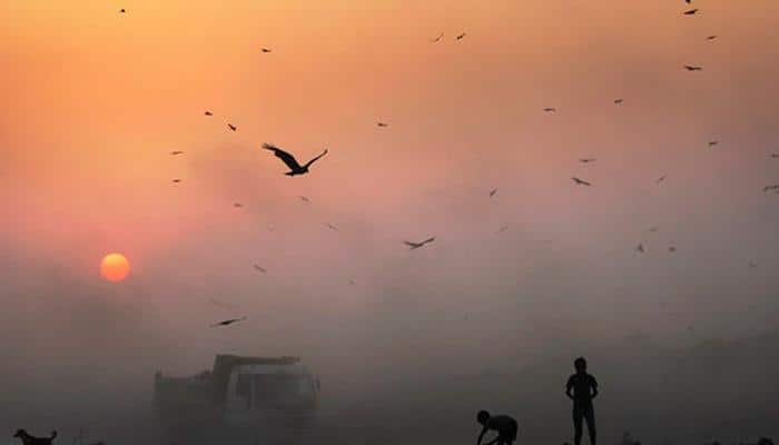 Delhi government urges Centre to determine cause of rising pollution