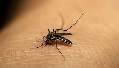 Two die due to dengue in Varanasi