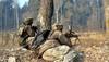 Another jawan martyred in Pakistan firing in J&K's Kupwara