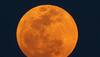 November supermoon