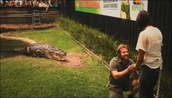 Best proposal ever? Man proposes to girlfriend in front of Elvis the crocodile! - Watch video