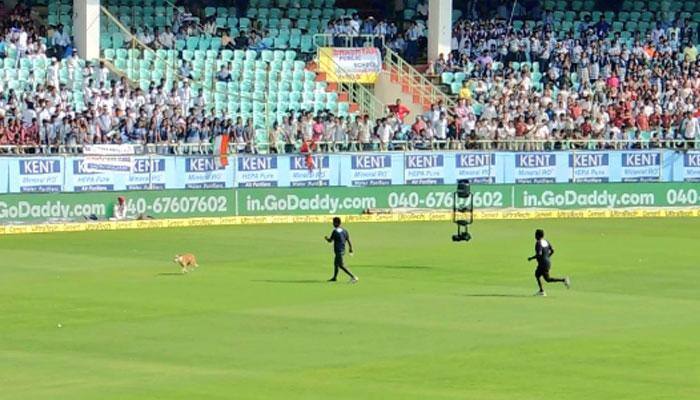 India vs England: Watch how a dog forced players to take early Tea break at Vizag Test