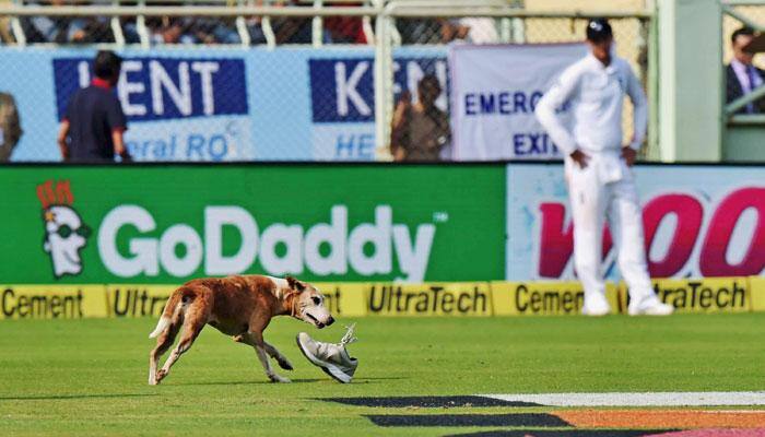 India vs England, Vizag Test: Dog tales and other talking points