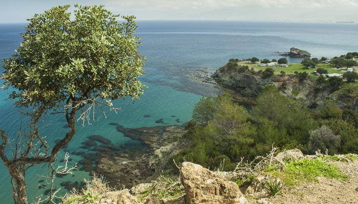 `Safe haven` Cyprus nets record tourism year