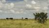 Top five national parks and wildlife sanctuaries in India!
