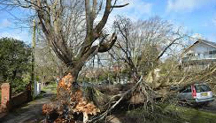  70,000 homes without power in storm-hit France