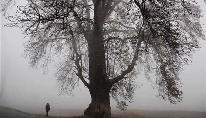 Kashmir Valley witnesses season&#039;s first snowfall at higher reaches