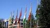 Will look to other regional groupings if Pakistan blocks initiatives under SAARC: India