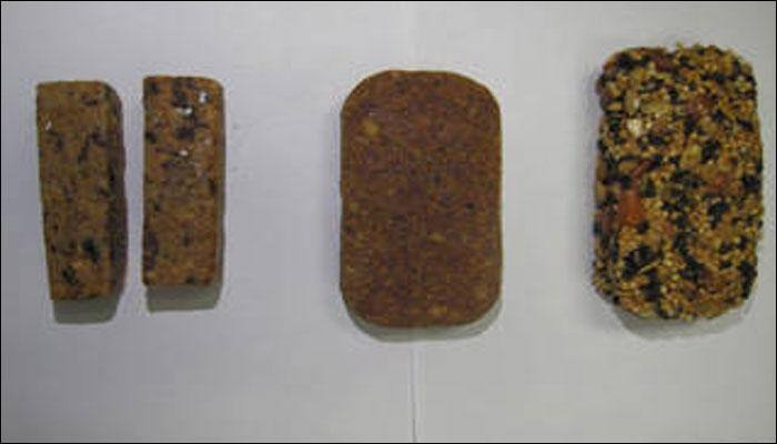 NASA's Orion astronauts to be provided with special food bars to keep their weight in check! - Watch video