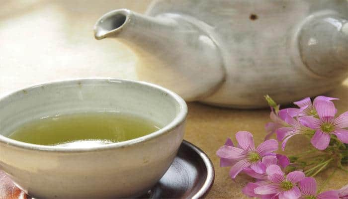 Drink green tea to reduce kidney damage caused by cancer drug &#039;cisplatin&#039;