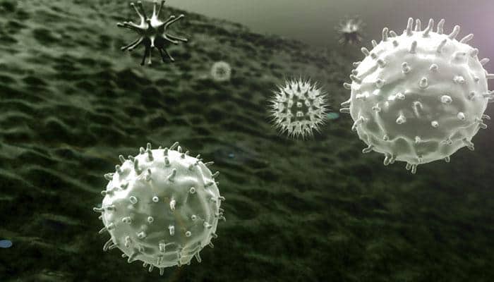 Chinese scientists discover 1,445 new viruses