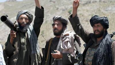Local Taliban leader, five insurgents killed in Afghanistan's Uruzgan