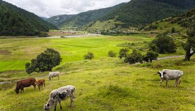 Arunachal Pradesh seeks to become adventure tourism hotspot