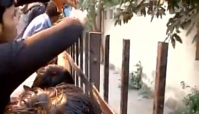This is what happened when a 'barasingha' entered residential area in Delhi