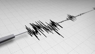 Earthquake hits Himachal Pradesh, no casualties