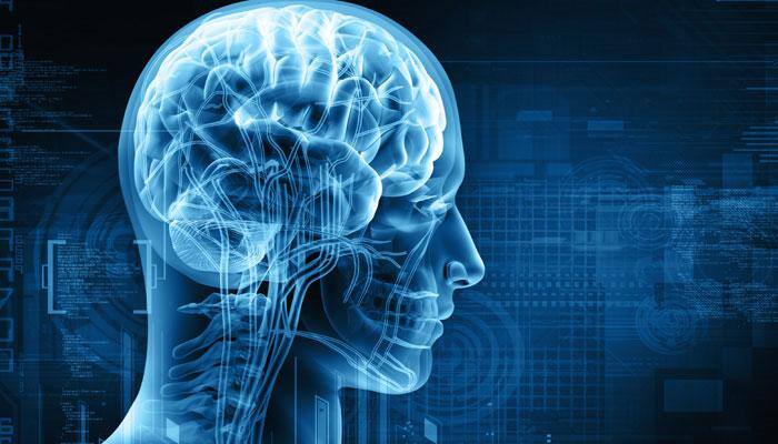 Twenty percent of brain stroke patients aged 40 or less