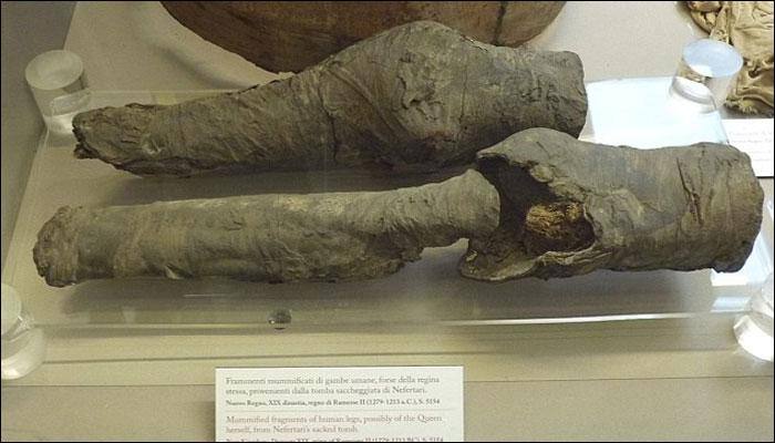 Unwrapped: Mummified knees discovered a century ago most likely belong to Egypt&#039;s Queen Nefertari!