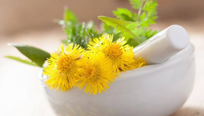 Natural cures: Herbal discoveries in 2016