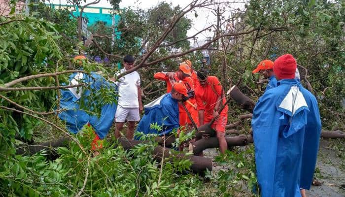 18 people killed as Cyclone Vardah leaves debris, damage in Tamil Nadu  