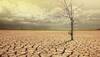 Has Climate change started widening world's wet-dry region divide?