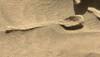Real or illusion? UFO hunters find 'spoon' on Mars again in NASA photo - Watch video