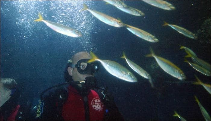 Scuba diving may damage your teeth