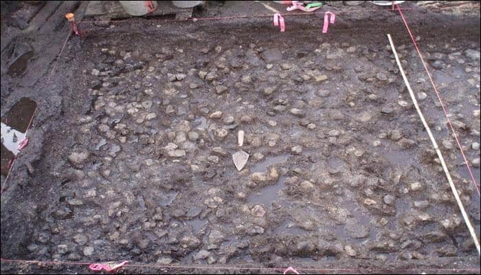 Wapato much? Archaeologists unearth 3,800-year-old underwater potato garden in Canada!