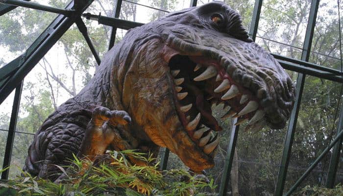 Dinosaurs took months to hatch from eggs — Did long incubation time play a role in their extinction?