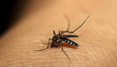 Anaemic kids can better fight malaria: Study