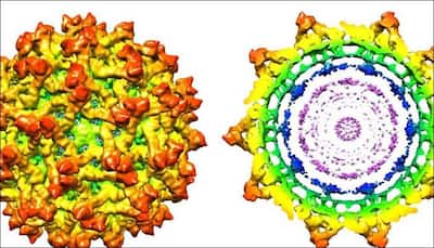 Discovered: Purdue University researchers detect new Zika virus structure