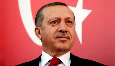Turkey's Erdogan rebukes MPs over 'leg-biting' brawl