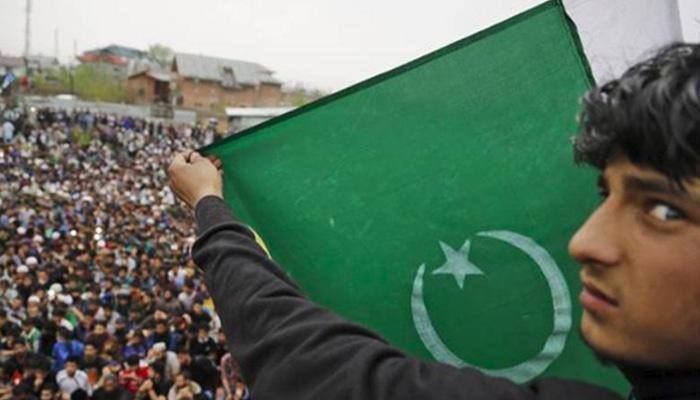 'If Pakistan continues ethnic cleansing, it will remain a hump called Punjab: Defence expert