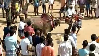 Protestors defy Supreme Court ban on Jallikattu, hold event in Madurai; many detained