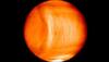 Gravity waves on Venus