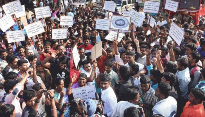 Thousands of Jallikattu lovers camp on Chennai&#039;s Marina Beach, want ban lifted