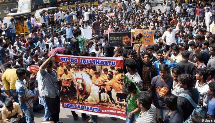 Thousands protest at Chennai&#039;s Marina Beach in support of Jallikattu, seek action against PETA