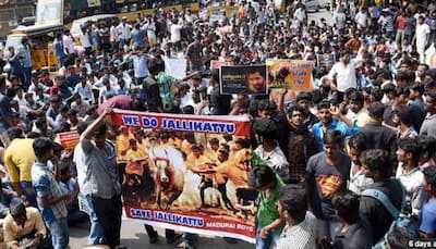 Thousands protest at Chennai's Marina Beach in support of Jallikattu, seek action against PETA