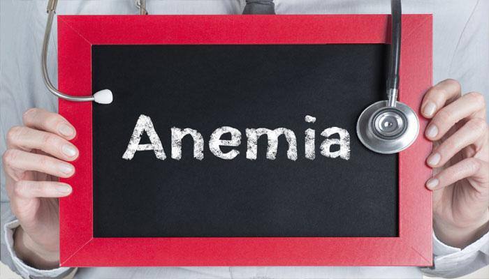 Decrease' in anaemia due to Raj govt programmes: PS Food and Civil Supplies