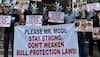 Jallikattu: As protests intensify in Tamil Nadu, PETA urges lawmakers not to support bull-taming sport