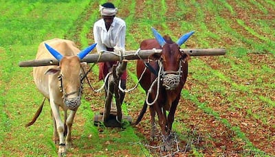 Cabinet approves 60-day interest waiver on farm loans from cooperative banks