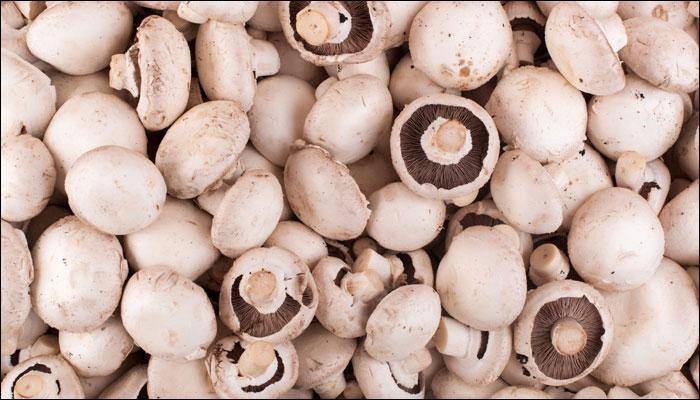 Mushroom consumption good for health; prevents dementia, alzheimer's: Study