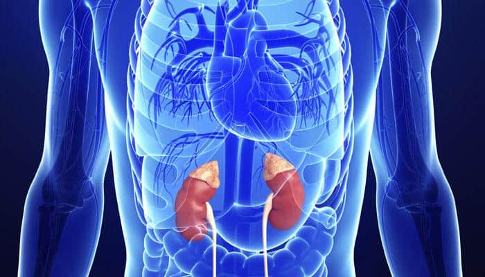 Kidney disease: Here&#039;s why too much phosphorous is bad for you