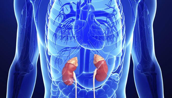 Kidney disease: Here's why too much phosphorous is bad for you
